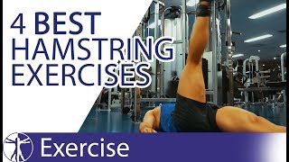 The 4 Best Hamstring Exercises  Hamstring Training [upl. by Elston801]