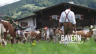 Bayern Almabtrieb Berchtesgaden Königssee [upl. by Pandora607]