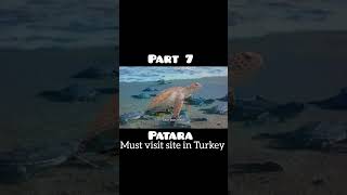 Patara  Turkey  part 7 patara explorepage carettacaretta [upl. by Quartis256]