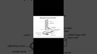 Sphygmomanometer l Exit exam preparation l Blood pressure measurement blood pharmacy [upl. by Reppart]