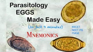 Parasitology Eggs Identification Mnemonic neetpg inicet fmge parasitology bscmicrobiology [upl. by Ahsaret]