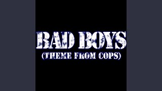 Bad Boys Theme from Cops [upl. by Llerot]