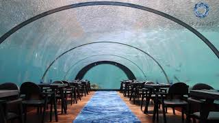 58 Undersea Restaurant at Hurawalhi Maldives [upl. by Edieh]