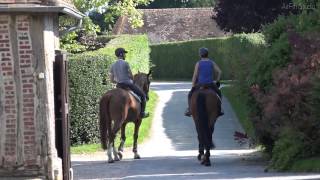 Normandie Film dentreprise AirFilmStudio Haras du Plessis [upl. by Nirtiac]