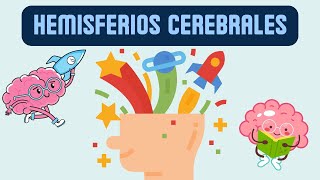 Hemisferios cerebrales y sus funciones [upl. by Aliahkim515]