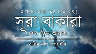 💖 আপনার অন্তর তৃপ্ত হতে বাধ্য┇ সূরা বাকারার শেষ তিন আয়াত┇Recited By Salem Ruwaili ┇An Nafee┇আন নাফী [upl. by Lladnarc998]