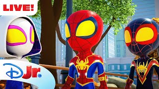 🔴 LIVE NEW SPIDEY FULL EPISODES amp SHORTS  Marvels Spidey and his Amazing Friends  disneyjr [upl. by Gallagher]