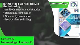 Antibody structure and function  Random recombination  Somatic hypermutation  class switching [upl. by Iruyas270]