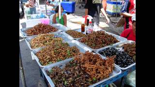 Entomophagy eating insects for greater efficiency [upl. by Vigen]