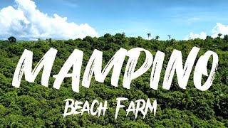 Mampino Beach Farm Zumarraga Samar Philippines [upl. by Letha]