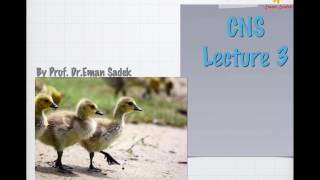 Lecture 3 CNS 2017 [upl. by Naget]