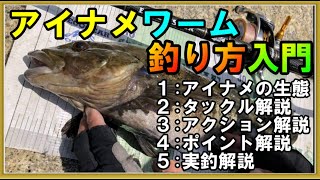 【初心者必見！】自分で考えて釣れるようになる！アイナメをワームで釣るための基礎情報やテクニックを徹底解説 [upl. by Mcgean]