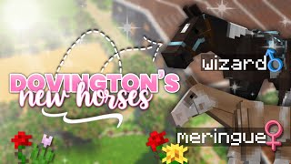 DOVINGTONS NEW HORSES ✨ 4 NEW HORSES Minecraft Equestrian RRP [upl. by Murray592]