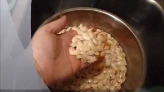 How to easily prepare Pumpkin Seeds to eat [upl. by Mot]