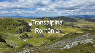 This is Romania🇷🇴 Transalpina the highest road travel video youtube fyp drone dji djimini2 [upl. by Essilrahc390]