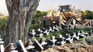 Clearing Wooded Land with Anchor Chain and Bulldozer [upl. by Kragh]