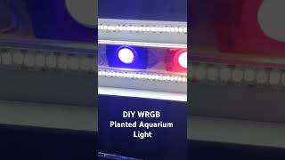 DIY WRGB Aquarium Light  മലയാളം [upl. by Enawtna167]