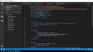 XML VS Code Extension Demo [upl. by Solorac920]