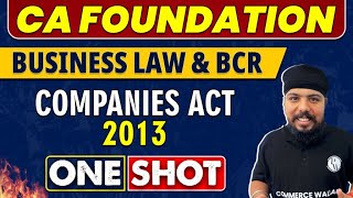 Companies Act 2013 in One Shot  CA Foundation  Law amp BCR🔥 [upl. by Marje]