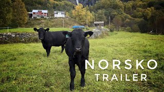 2024  Norsko trailer [upl. by Goode14]