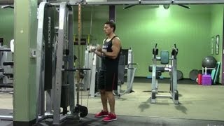 Low Cable Bar Curl  HASfit Biceps Exercise Demonstration  Cable Curl  Bicep Exercises  Bar Curls [upl. by Picardi]