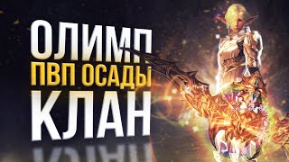 пвп осады клан фарм  битва блогеров 3 выпуск  lineage 2 legacy 2023 [upl. by Fenner]