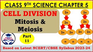 Cell Division Class 9  Mitosis and Meiosis  The Fundamental Unit of Life  Part 11  Biology [upl. by Thacker]