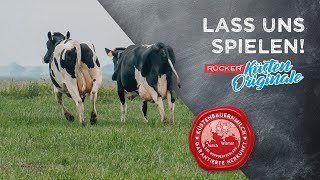 Auf der HaNiFarm haben die Kühe eine eigene Spielwiese mit knapp 3 Hektar [upl. by Nelleeus]