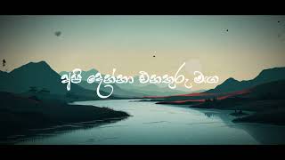 Hamuwannta X Samanala wewa  හමුවෙන්නට X සමනළ වැව  Cover Song  NAVI Katugampala [upl. by Fawne]