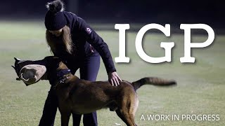 What is IGP [upl. by Aydan]