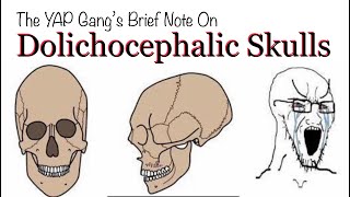 Brief Note on Dolichocephalic Skulls by the YAP Gang [upl. by Atsiuqal]