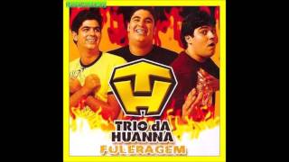 Trio da Huanna  Volume 1  CD Fuleragem 2005 [upl. by Lovel488]