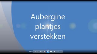 Aubergine plantjes verstekken [upl. by Trub]