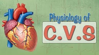 Easy Physiology  CVS  Introduction [upl. by Pages]