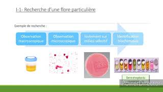 Cours Biotechnologies Microbiologie Partie 1  Analyse microbiologique d’un produit polymicrobien [upl. by Dnana]