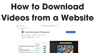 How to Download Videos from Any Website for Free  Video Downloader Professional Tutorial [upl. by Bihas368]