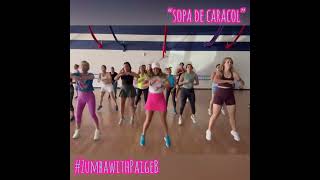 Sopa De Caracol LIVE Zumba with Paige B [upl. by Cohin211]