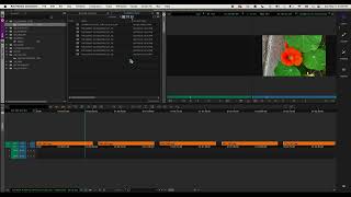 Avid Media Composer  Lesson 28  Moving User Settings [upl. by Maggi453]