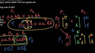 How to solve crossingover and map units centiMorgans problems [upl. by Emersen]