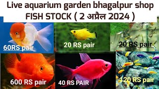 Live aquarium garden shop bhagalpur bihar FISH STOCK  2 अप्रैल 2024 [upl. by Ailehpo435]