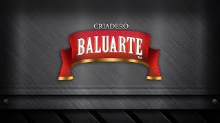 CRIADERO BALUARTE [upl. by Hock]