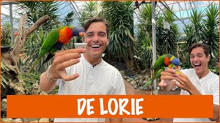 De Lories te eten geven  DierenpraatTV [upl. by Sam152]