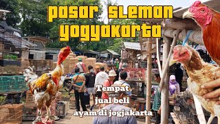 PASAR SLEMAN YOGYAKARTA [upl. by Airotel]