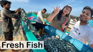 Fresh Fish Batticaloa  Sri Lanka Sea Food  Tamil Vlogs  Rj Chandru amp Menaka [upl. by Donni]