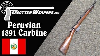 The Very Neat Peruvian Navy 1891 Mauser Carbine [upl. by Anaylil]