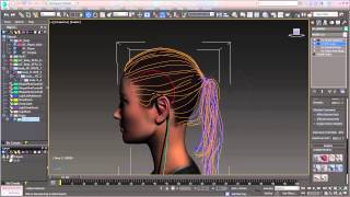 Ornatrix V3 Beta Strand Symmetry [upl. by Crocker585]