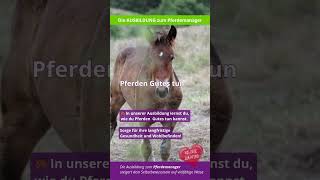 Pferden Gutes tun 🐴 [upl. by Garfinkel]