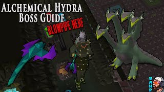 OSRS Hydra Boss Guide with Blowpipe Nerf [upl. by Nylcsoj]