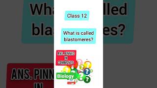 What is called blastomeres ll Class 12 Biology Chapter 2 shortsclass12biology [upl. by Enilada819]