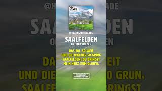 Der SAALFELDEN Song  saalfelden heimatmusik rock [upl. by Adler]